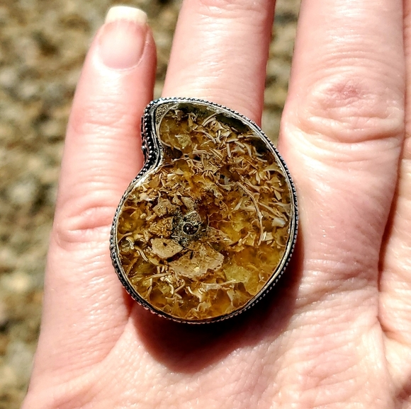 WOW New Ammonite Fossil 925 Silver Statement Ring. - Picture 6 of 8